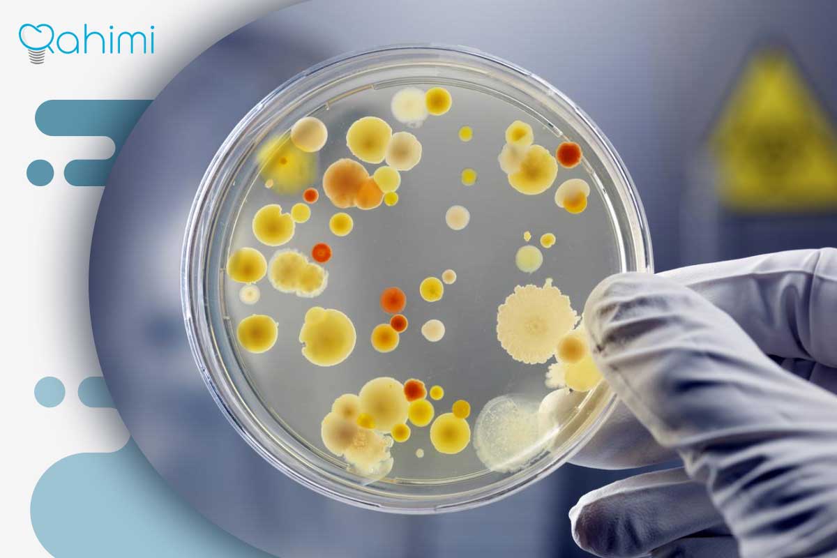 ارتباط بیماری لثه با خطر حمله قلبی: علائم هشدار و راهنمای پیشگیری 1 ورود باکتریها به بدن